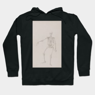 A Comparative Anatomical Exposition of the Structure of the Human Body with that of a Tiger and a Common Fowl: Human Skeleton, Anterior View by George Stubbs Hoodie